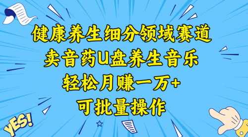 【健康养生新赛道】音药U盘养生音乐，月赚一万+，轻松批量操作！