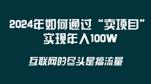 【2024年互联网创业】卖项目实现年入100W，揭秘互联网创业的黄金法则