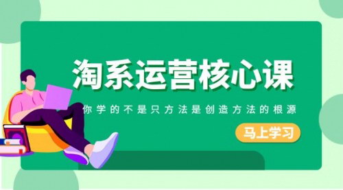 【淘系运营核心课】掌握淘宝爆单秘诀，揭秘创造销量根源的运营策略