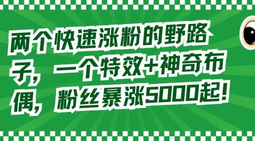 【抖音涨粉利器揭秘】——猪头特效+神奇布偶，轻松突破5000粉丝！