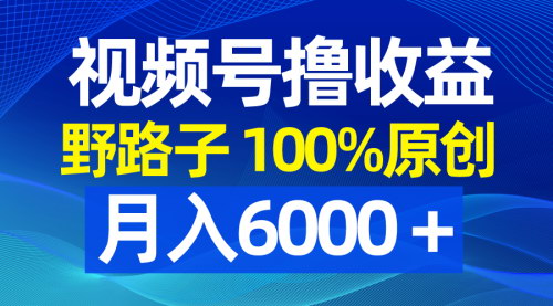【视频号原创内容攻略】——独家野路子玩法，月入6000+，100%原创爆款！