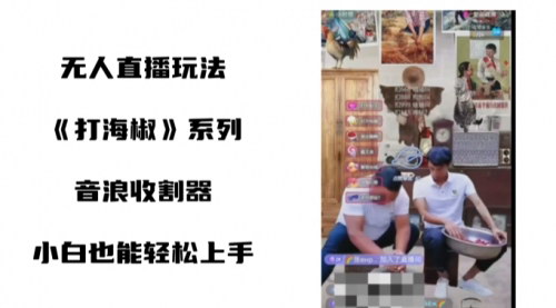【打海椒无人直播项目解析】——小白轻松上手，音浪收割器教程全公开！