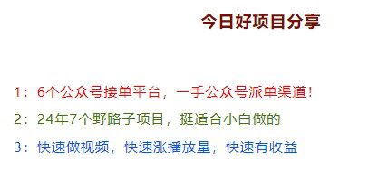【2024年小白友好项目大揭秘】——7个野路子项目，助你快速实现盈利！