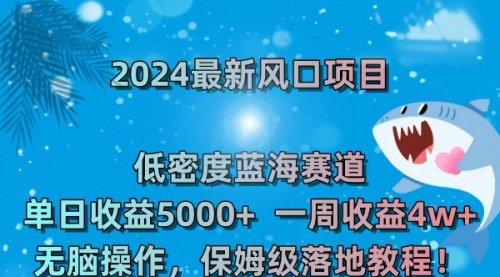 【2024风口项目揭秘】低密度蓝海赛道，日收益5000+，周收益4w+，无脑操作实现财务自由！