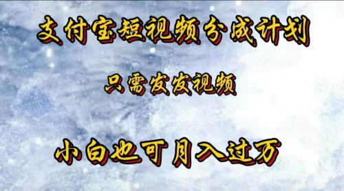 [支持免费下载]【2024年支付宝短视频创作分成计划：小白也能月入过万】