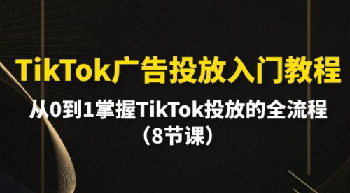 [支持免费下载]【TikTok广告投放秘籍】从0到1掌握全流程，高转化实操指南（8节课）