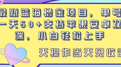 [支持免费下载]《蓝海撸金项目：单号日赚50+，小白也能轻松上手》