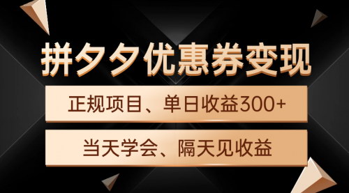 [支持免费下载]【拼多多优惠券攻略】手机电脑皆可操作，日收益300+的绿色变现项目