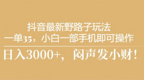 [支持免费下载]【抖音小白日入3000+】揭秘最新野路子玩法，一单35元轻松操作
