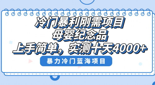 [支持免费下载]【母婴纪念品市场揭秘】冷门暴利刚需项目，十天实测收入4000+，快速上手指南！
