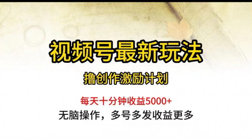 [支持免费下载]【视频号最新玩法】每日一小时月入5000+，2024蓝海行业必看
