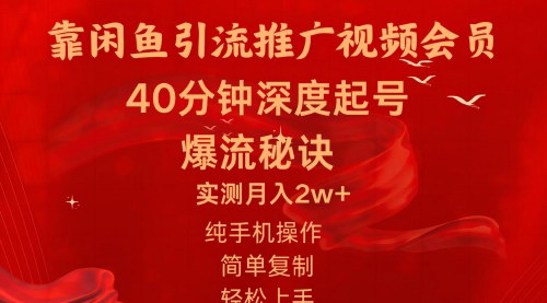 [支持免费下载]【闲鱼视频会员引流项目】日入2W+，操作简单，长期稳定