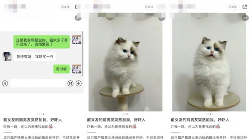 [支持免费下载]《情侣聊天记录带货：抖音小红书图文带货的创意营销策略》