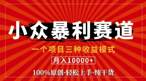 [支持免费下载]【2024年视频号风口】中老年粉深信不疑：小众赛道原创视频号月入过万指南