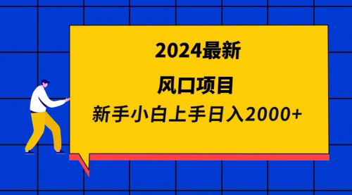 [支持免费下载]2024年新兴风口项目：新手小白如何实现日入2000+