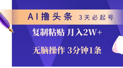 [支持免费下载]《2024年AI撸头条项目：3天必起号，无脑操作轻松月入2W+》