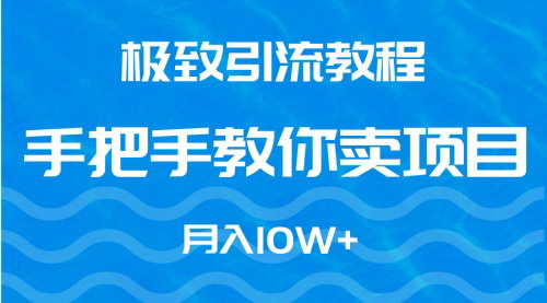 [支持免费下载]【2024极致引流教程】月入10W+，手把手教你卖项目实现财务自由