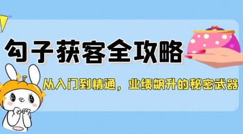 [支持免费下载]勾子获客全攻略：从入门到精通，业绩飙升的秘密武器