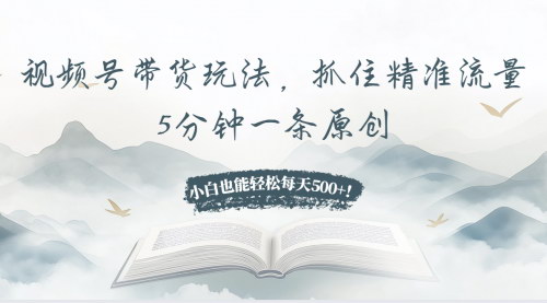 [支持免费下载]视频号带货玩法：抓住精准流量，5分钟一条原创视频的实战攻略