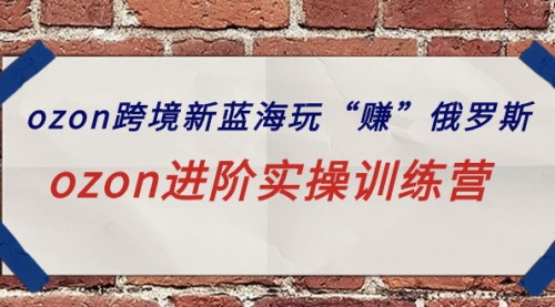 [支持免费下载]【Ozon跨境电商实操】新蓝海俄罗斯市场，本土店与跨境店运营全解析