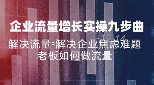 [支持免费下载]《企业流量增长实战九步曲：解决流量焦虑，老板的认知颠覆》