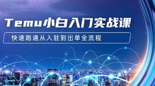 [支持免费下载]【Temu电商实战入门教程】拼多多跨境电商全流程指南，快速实现从入驻到出单