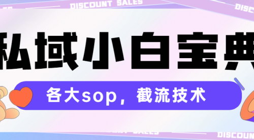 [支持免费下载]《私域小白宝典：从入门到精通，打造高效私域流量池》