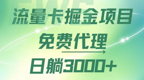 [支持免费下载]流量卡掘金代理：日躺赚3000+，变现暴力，多种推广途径