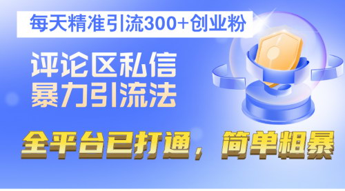 [支持免费下载]【2024年抖音评论区引流法：每天精准引流300+创业粉】