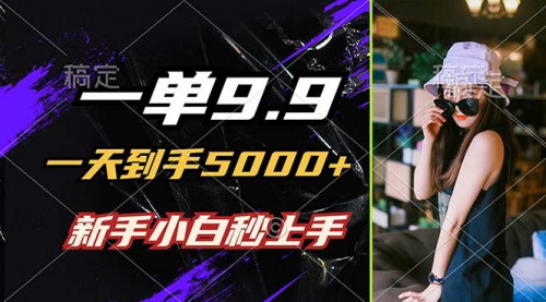 [支持免费下载]一单9.9，一天到手5000+：小白轻松上手，快速赚钱攻略
