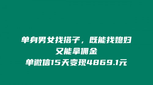 [支持免费下载]【单身经济新玩法】微信搭子群：交友赚钱两不误，15天收入4869.1元