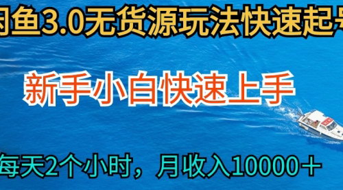 [支持免费下载]【2024闲鱼无货源玩法】每天2小时，小白快手上手，月入过万！