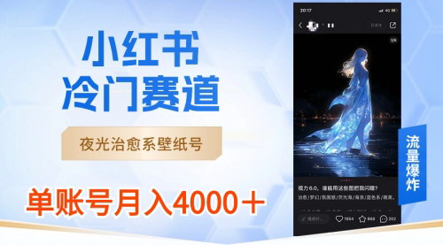 [支持免费下载]小红书冷门赛道：夜光治愈系壁纸号，单号月入4000＋的赚钱秘诀