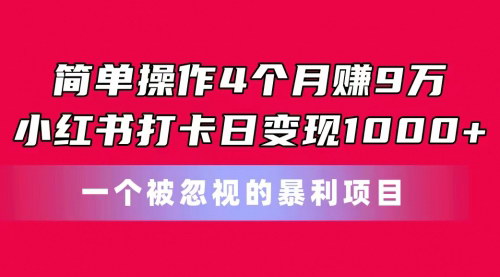 [支持免费下载]《小红书打卡项目：4个月赚取9万，日变现1000+的秘诀》