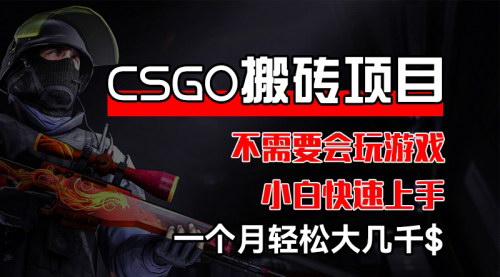 [支持免费下载]CSGO装备搬砖项目：无需游戏技巧，小白也能月赚数千的蓝海商机
