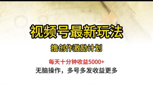 [支持免费下载]【2024视频号赚钱新玩法】每日投入一小时，轻松月入5000+