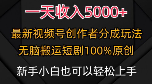 [支持免费下载]【视频号创作者分成计划】：一天收入5000+，最新100%原创玩法