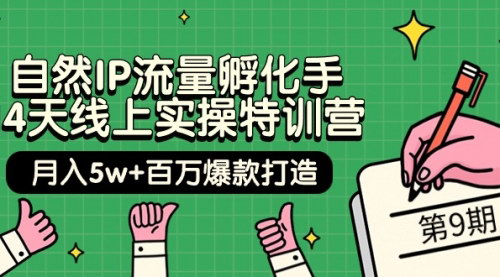[支持免费下载]【自然IP流量孵化手】14天线上实操特训营，月入5w+百万爆款打造！