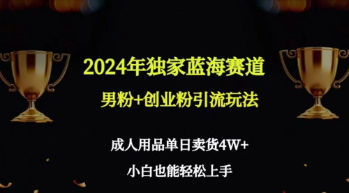 [支持免费下载]2024年独家蓝海赛道：成人用品单日卖货4W+的引流变现教程
