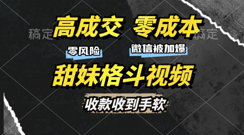 [支持免费下载]高成交零成本：售卖甜妹格斗视频，合法合规引流技巧