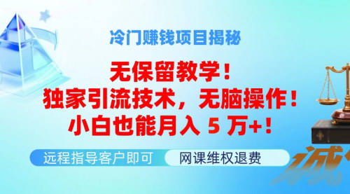 [支持免费下载]《冷门赚钱项目无保留教学：独家引流技术，无脑操作，小白轻松月入几万》