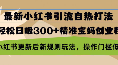 [支持免费下载]【小红书引流自热打法】日吸300+精准宝妈创业粉，轻松变现六位数