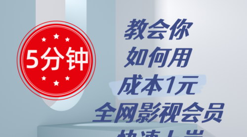 [支持免费下载]《低成本全网影视会员项目：1元起快速盈利的实操指南》