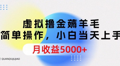 [支持免费下载]【虚拟物品薅羊毛】简单操作，小白当天上手，月收益5000+！