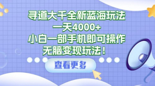 [支持免费下载]2024年寻道大千蓝海项目：小白日入4000+实操指南