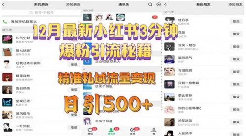 [支持免费下载]掌握小红书3分钟爆粉引流秘籍：精准私域流量变现，日引500+