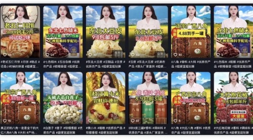 [支持免费下载]《AI数字人带货秘籍：免费工具助力，轻松实现50万销售额》