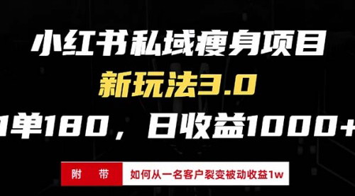 [支持免费下载]小红书瘦身项目3.0模式：新手小白日赚1000+的实战攻略