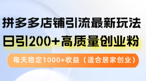 [支持免费下载]【2024年拼多多店铺引流最新玩法：日引200+高质量创业粉】
