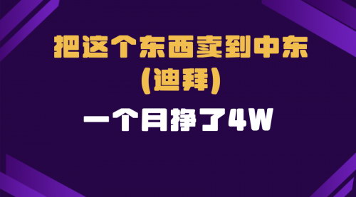 [支持免费下载]《跨境电商：一个人在家如何把货卖到迪拜，实现高利润收益》